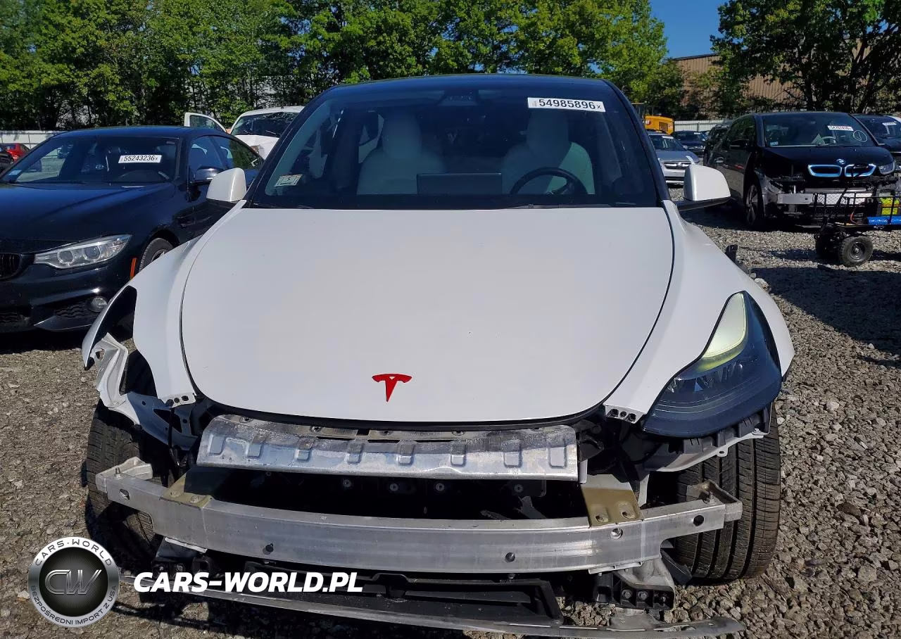 2022 Tesla Model Y VIN:7SAYGDEF3NF461059 - 5
