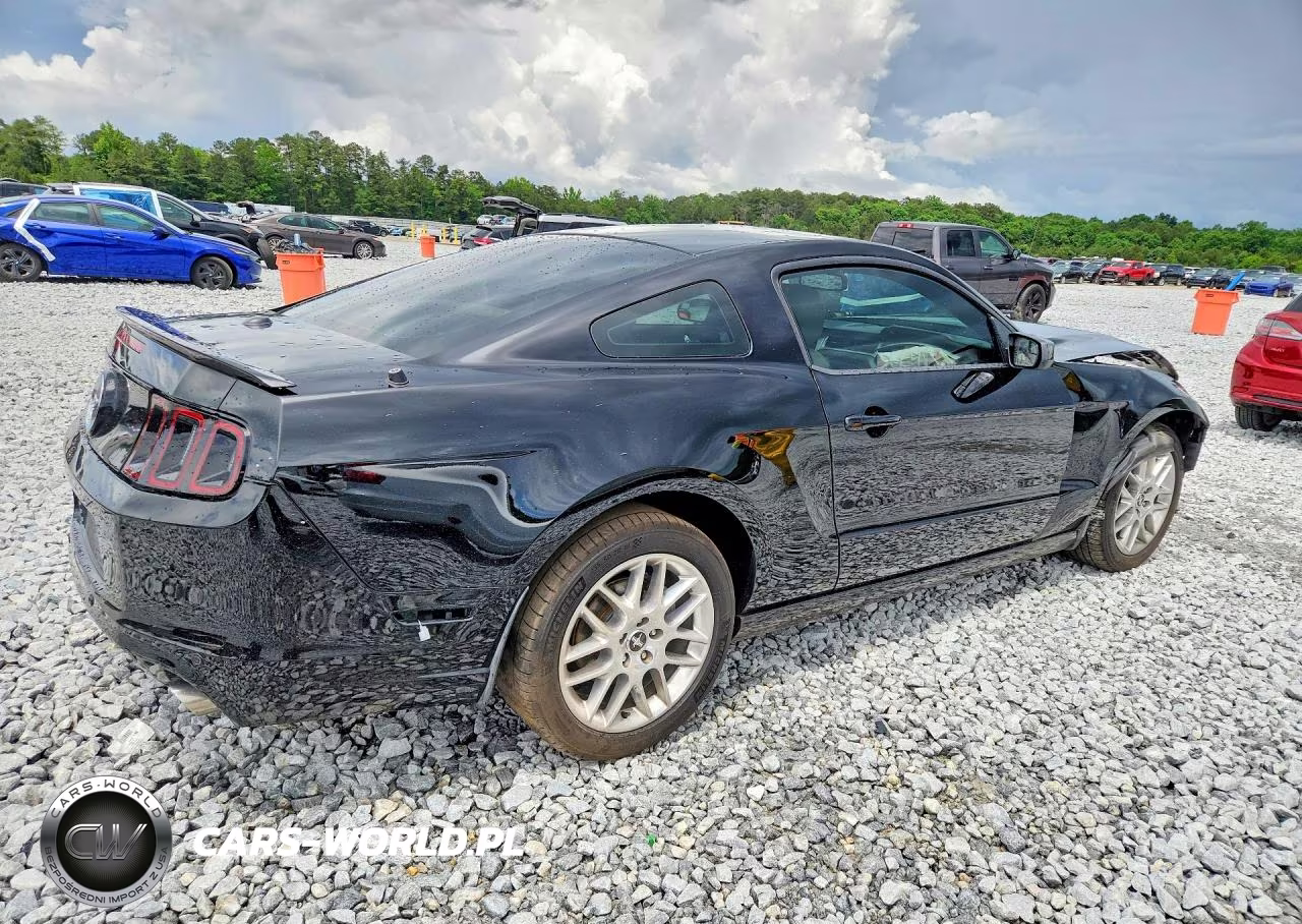 2013 Ford Mustang VIN:1ZVBP8AM4D5273341 - 3