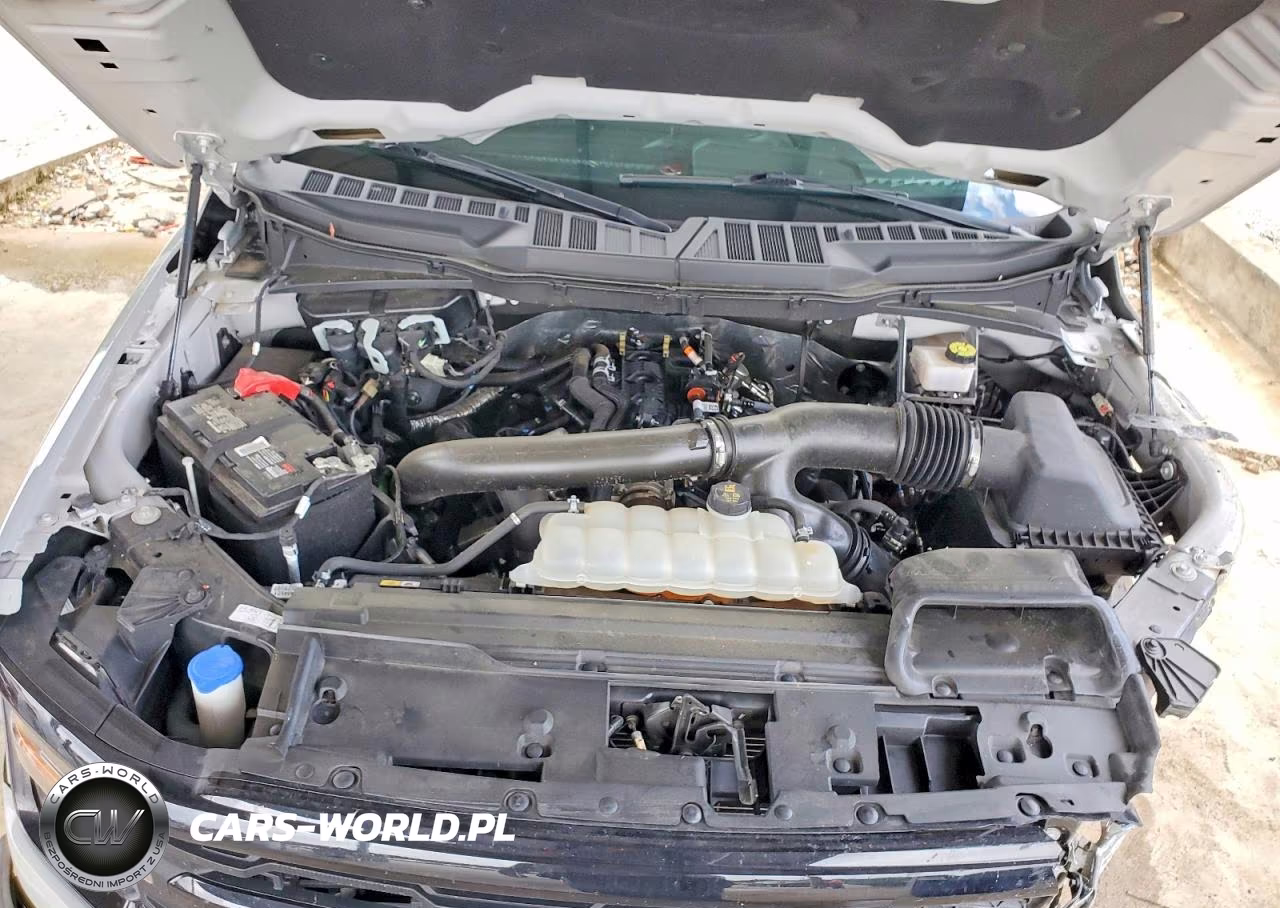 2024 Ford F150 Xlt VIN:1FTFW3L81RKF77309 - 11