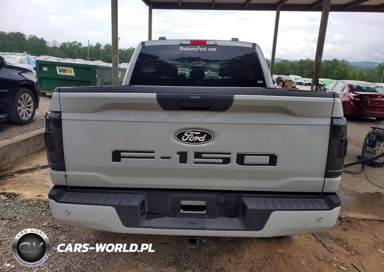 2024 Ford F150 Xlt VIN:1FTFW3L81RKF77309 - 6