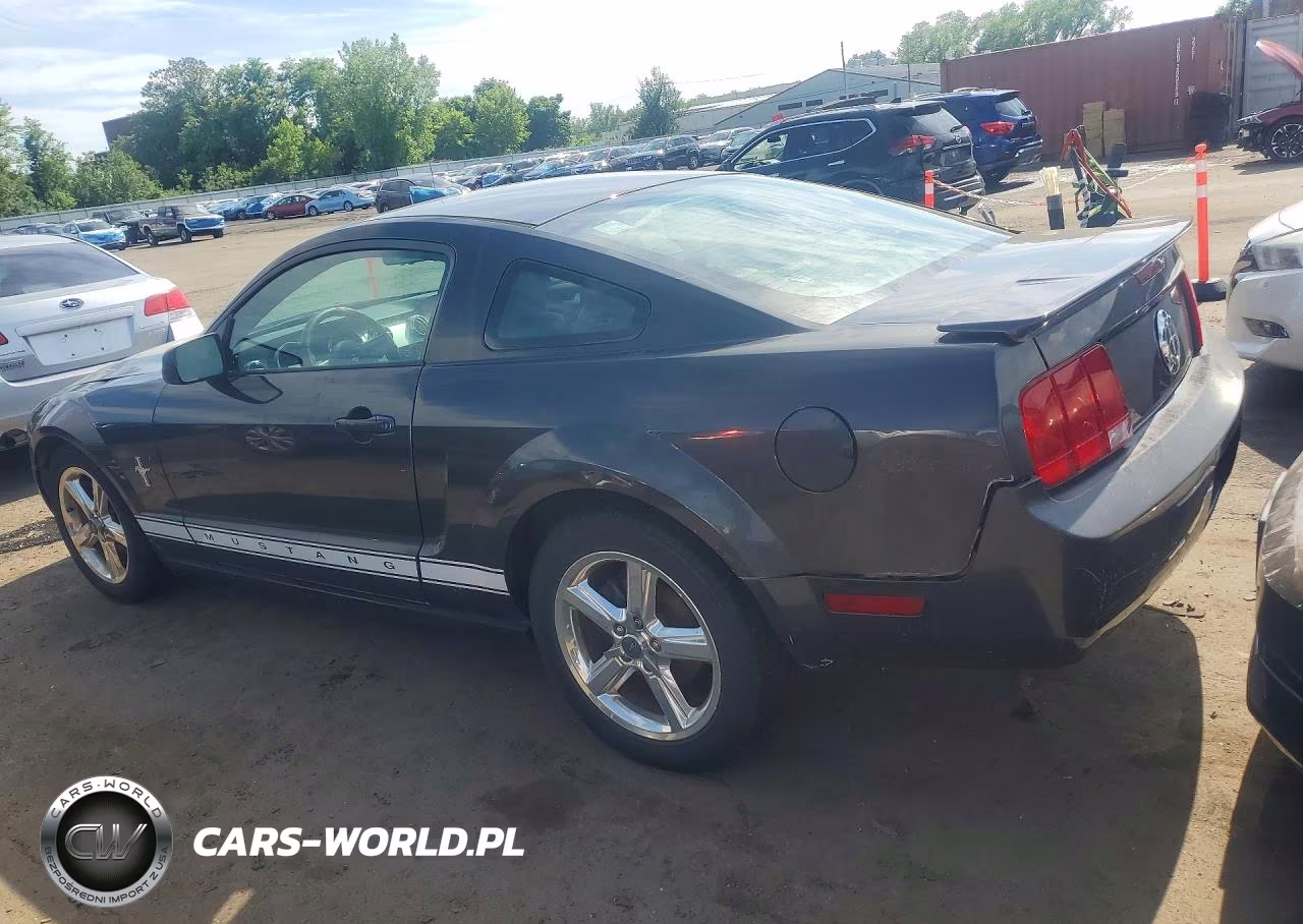 2008 Ford Mustang VIN:1ZVHT80N585126600 - 2