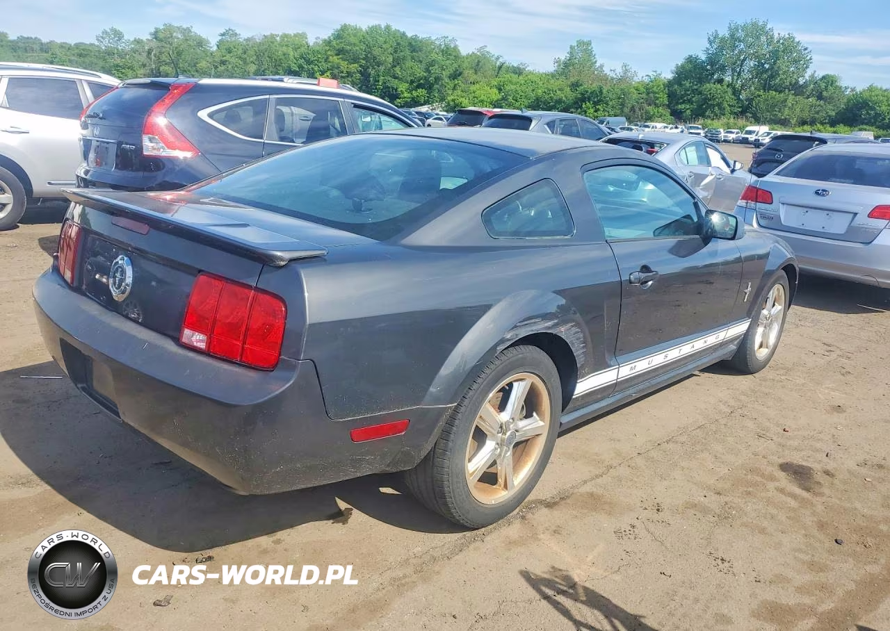 2008 Ford Mustang VIN:1ZVHT80N585126600 - 3