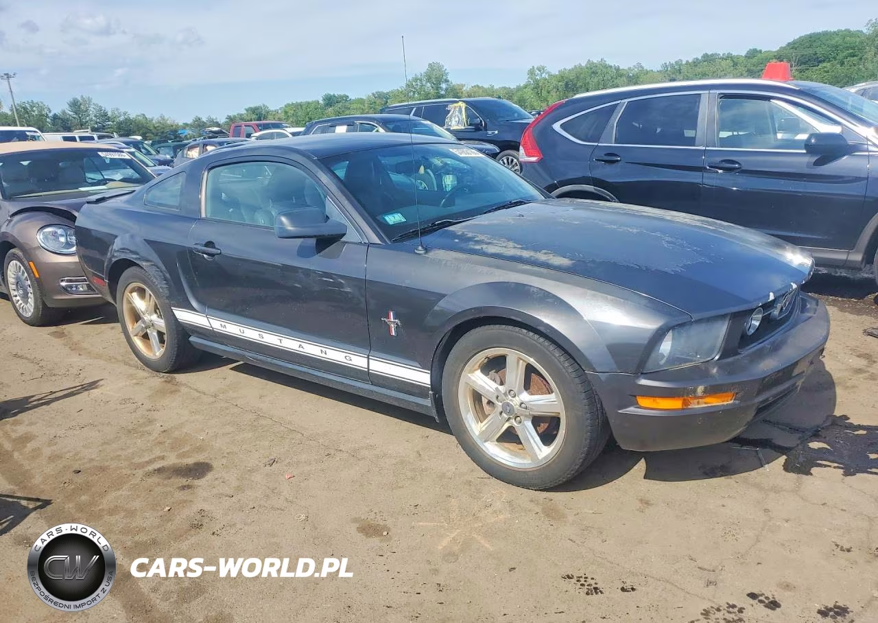 2008 Ford Mustang VIN:1ZVHT80N585126600 - 4