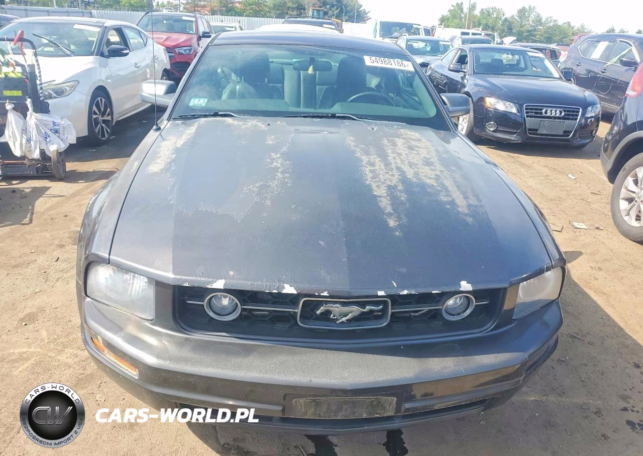 2008 Ford Mustang VIN:1ZVHT80N585126600 - 5