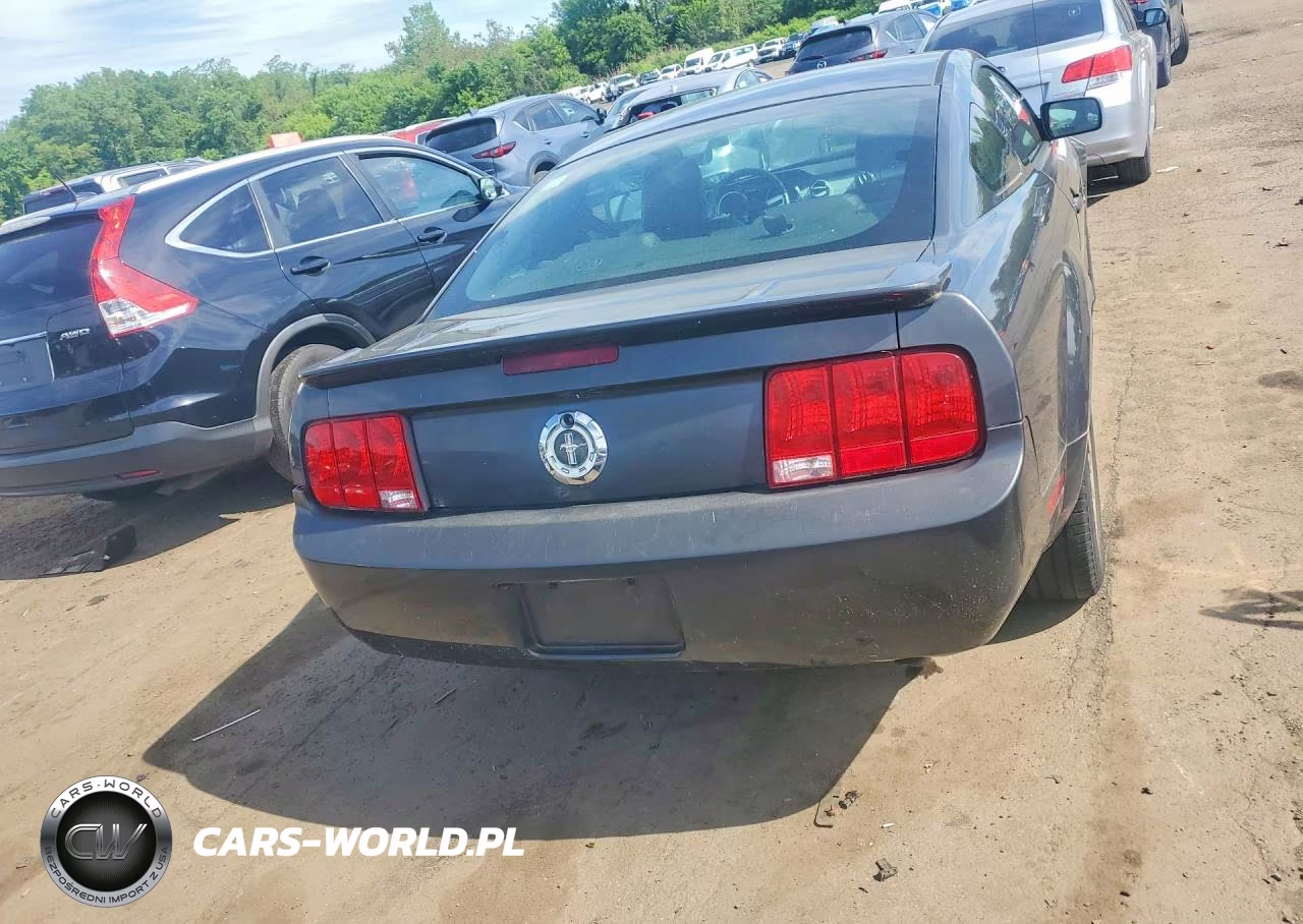 2008 Ford Mustang VIN:1ZVHT80N585126600 - 6