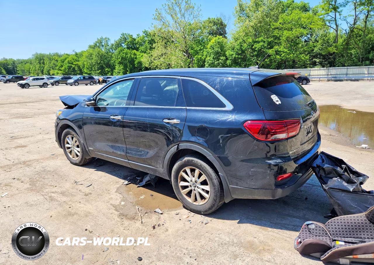 2020 Kia Sorento Lx VIN:5XYPGDA35LG653044 - 2