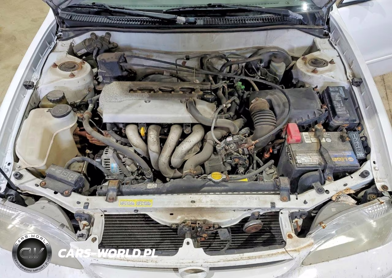 1999 Toyota Corolla Ve VIN:1NXBR12EXXZ209984 - 11