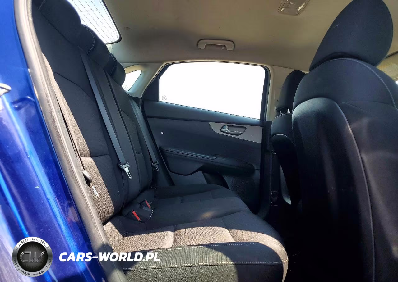 2019 Kia Forte Lxs VIN:3KPF24AD5KE108993 - 10