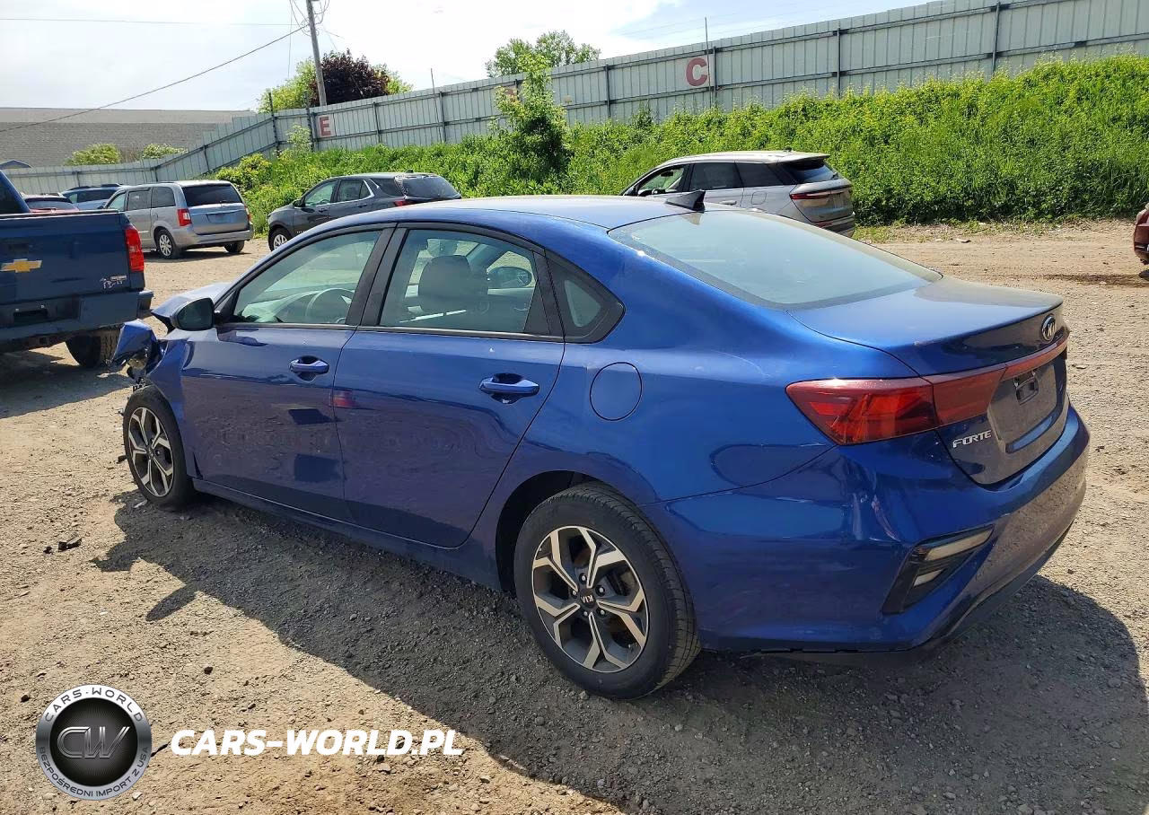 2019 Kia Forte Lxs VIN:3KPF24AD5KE108993 - 2