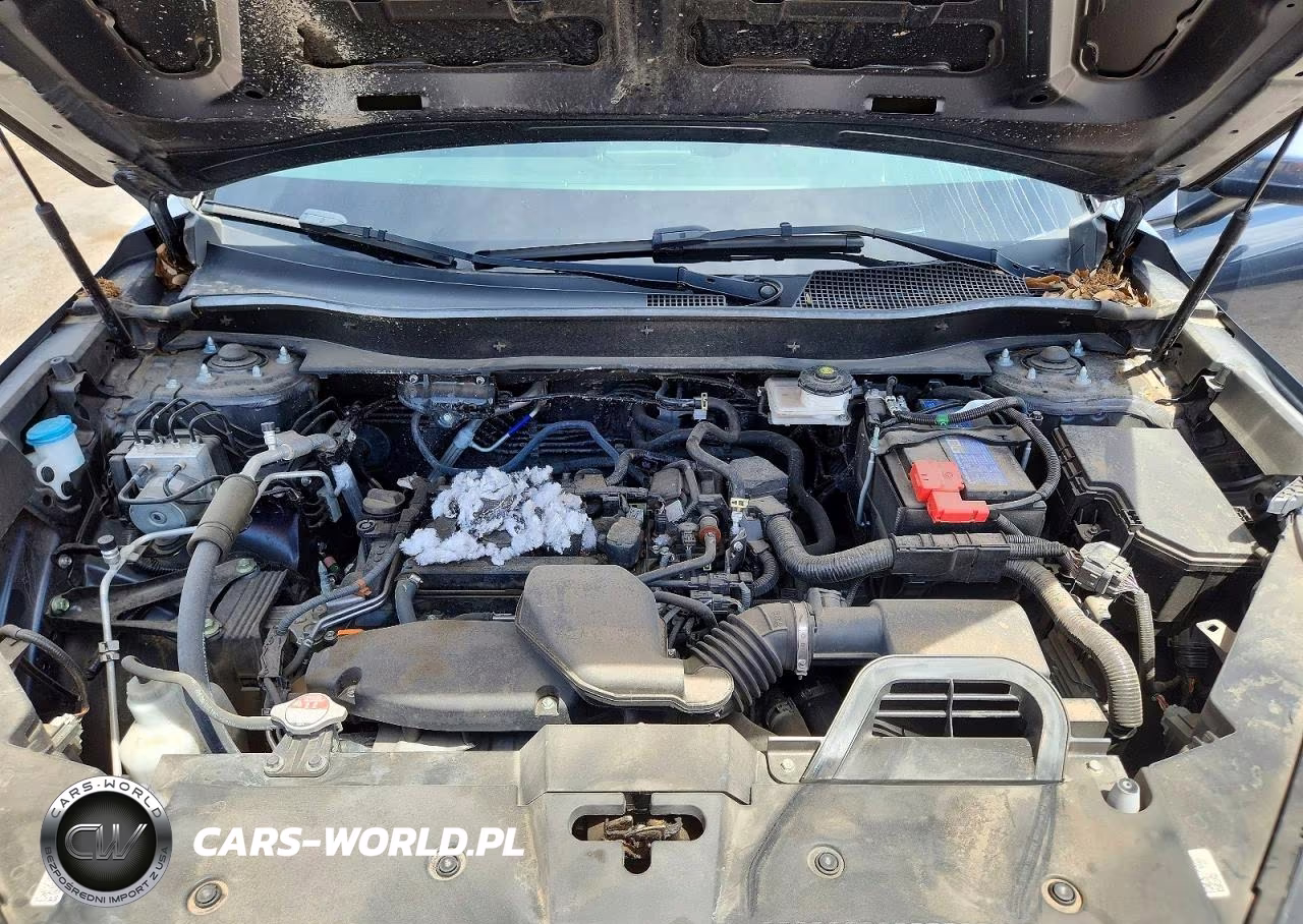 2025 Honda Cr-V Lx VIN:5J6RS3H24SL000829 - 12