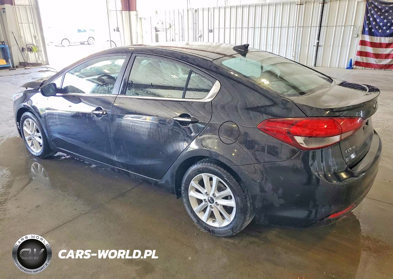 2017 Kia Forte S VIN:3KPFL4A73HE077484 - 2