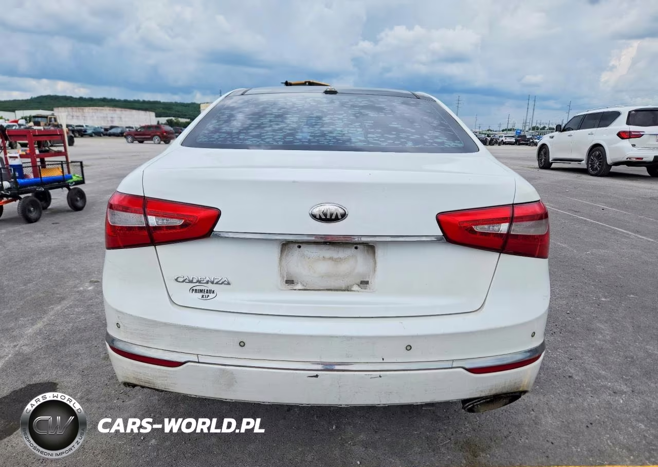 2014 Kia Cadenza Premium VIN:KNALN4D79E5136163 - 6
