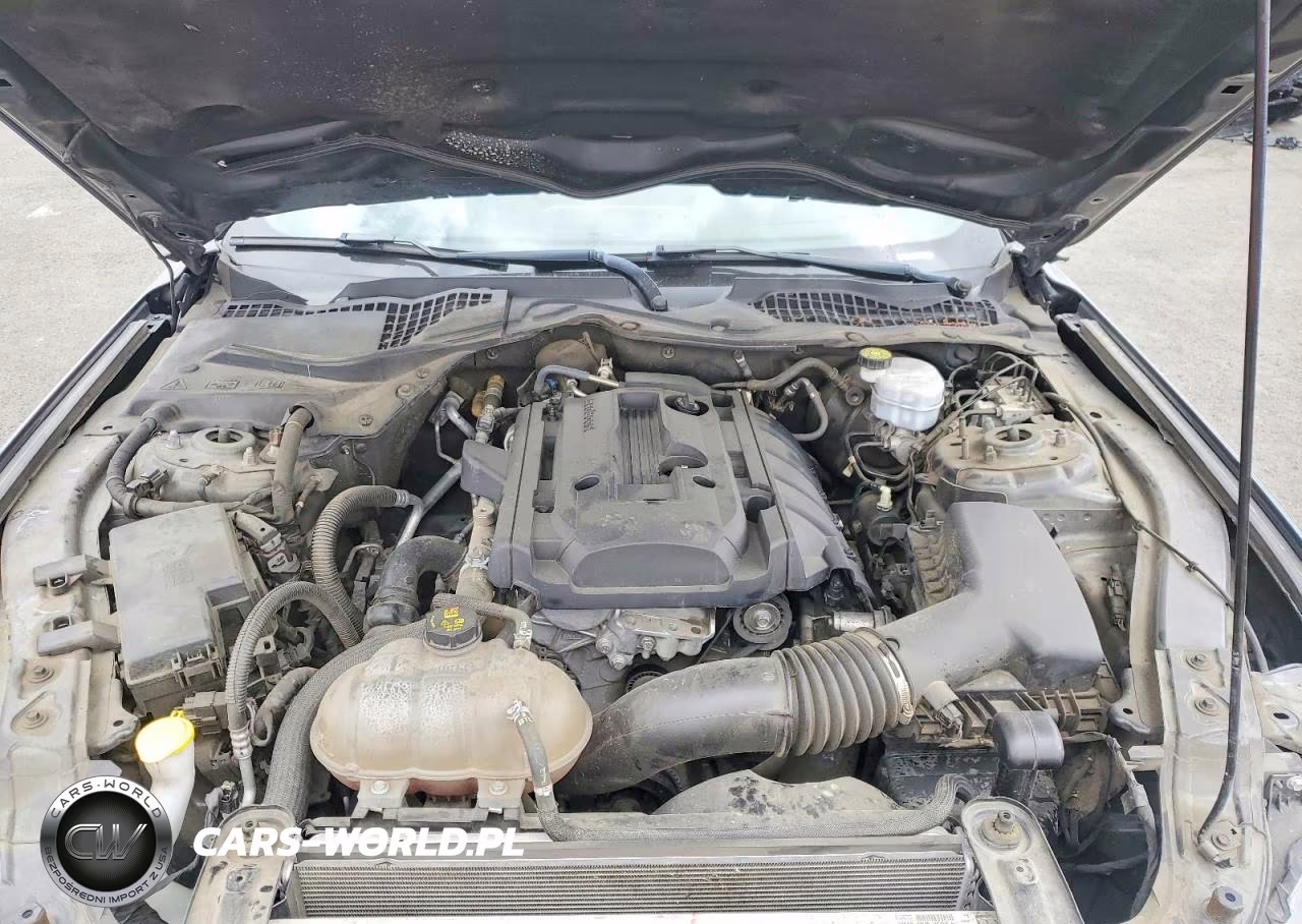 2019 Ford Mustang VIN:1FA6P8TH3K5161380 - 11