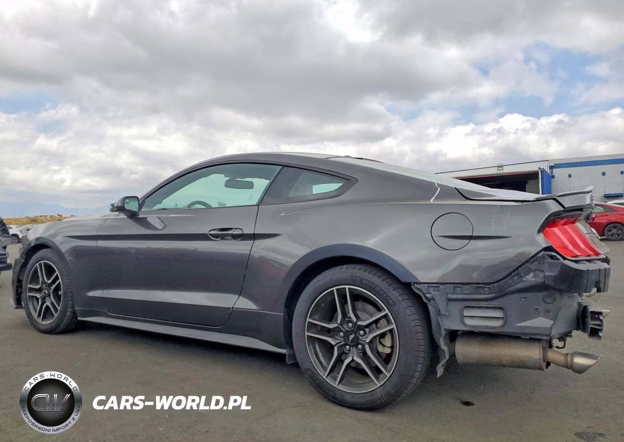 2019 Ford Mustang VIN:1FA6P8TH3K5161380 - 2