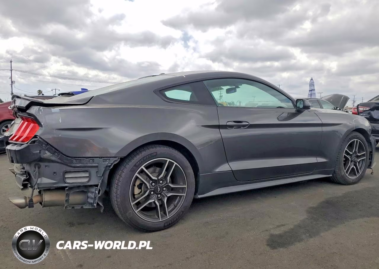 2019 Ford Mustang VIN:1FA6P8TH3K5161380 - 3