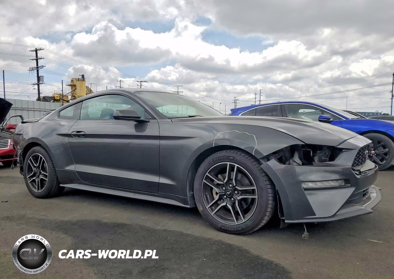 2019 Ford Mustang VIN:1FA6P8TH3K5161380 - 4
