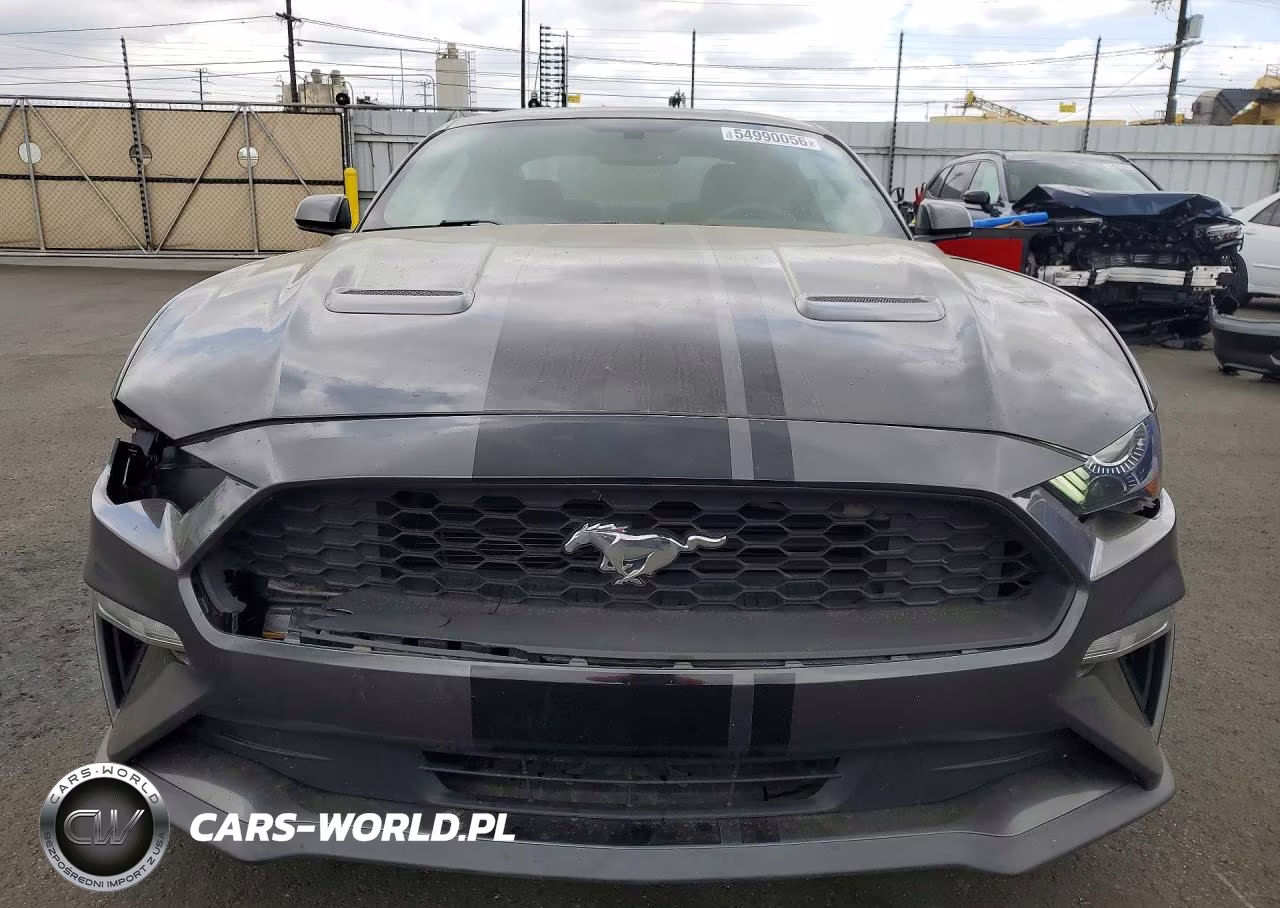 2019 Ford Mustang VIN:1FA6P8TH3K5161380 - 5