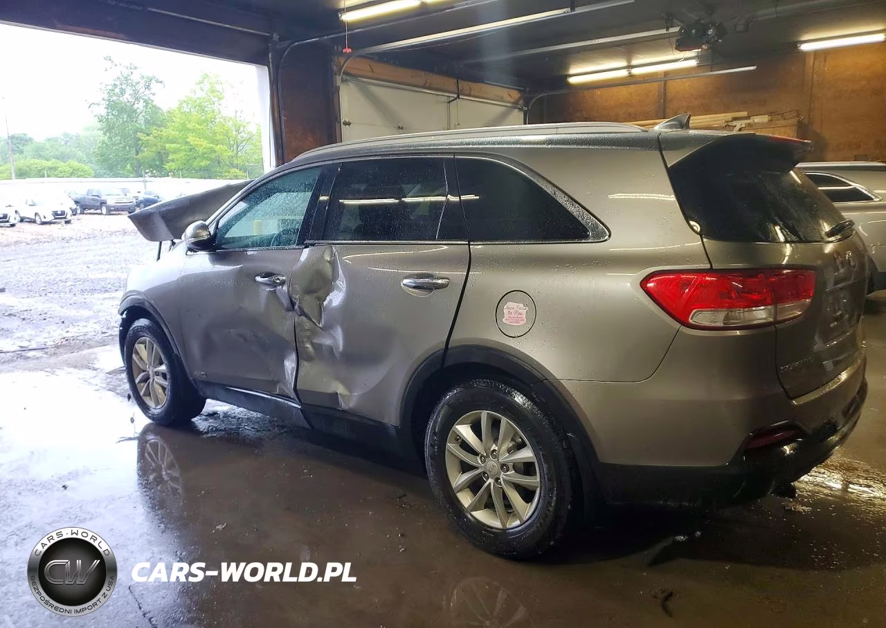 2017 Kia Sorento Lx VIN:5XYPGDA38HG289869 - 2