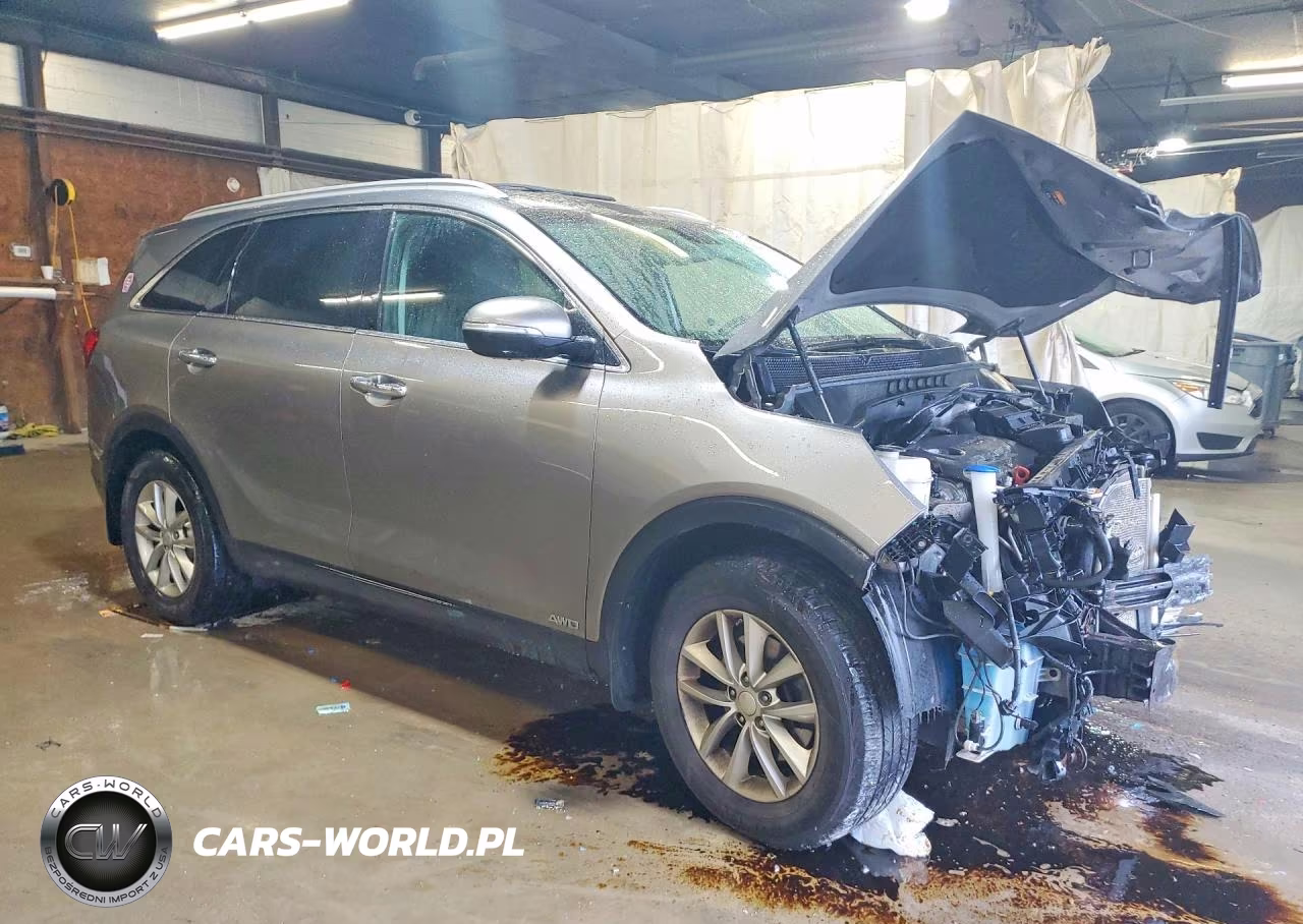 2017 Kia Sorento Lx VIN:5XYPGDA38HG289869 - 4