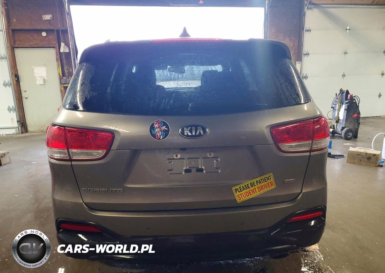 2017 Kia Sorento Lx VIN:5XYPGDA38HG289869 - 6