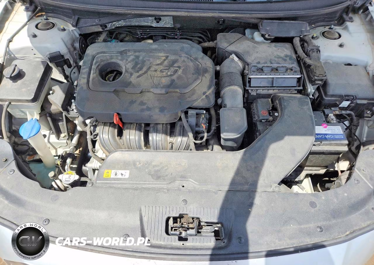 2015 Hyundai Sonata Se VIN:5NPE24AF2FH225283 - 11