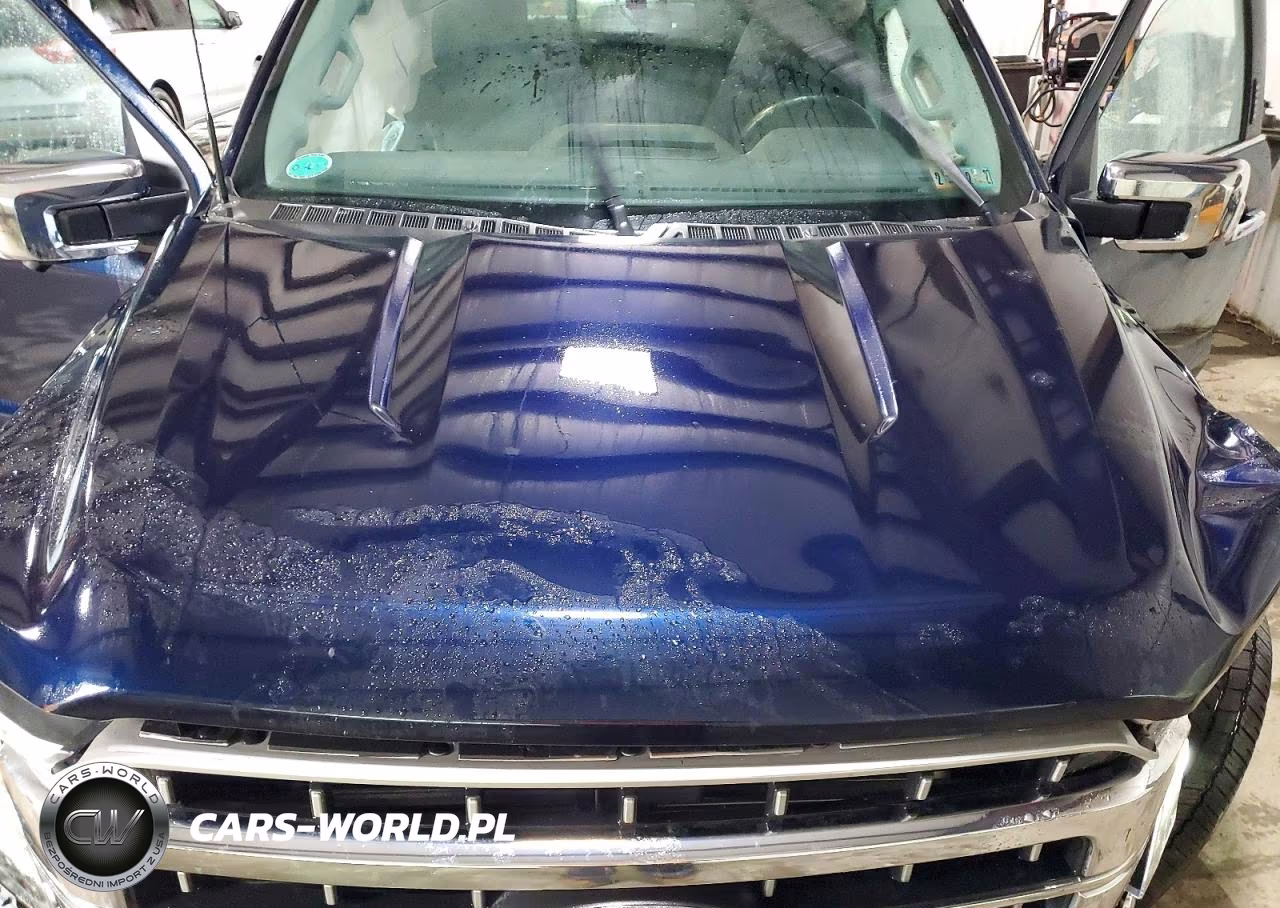 2023 Ford F150 Supercrew VIN:1FTFW1E83PFA34938 - 11