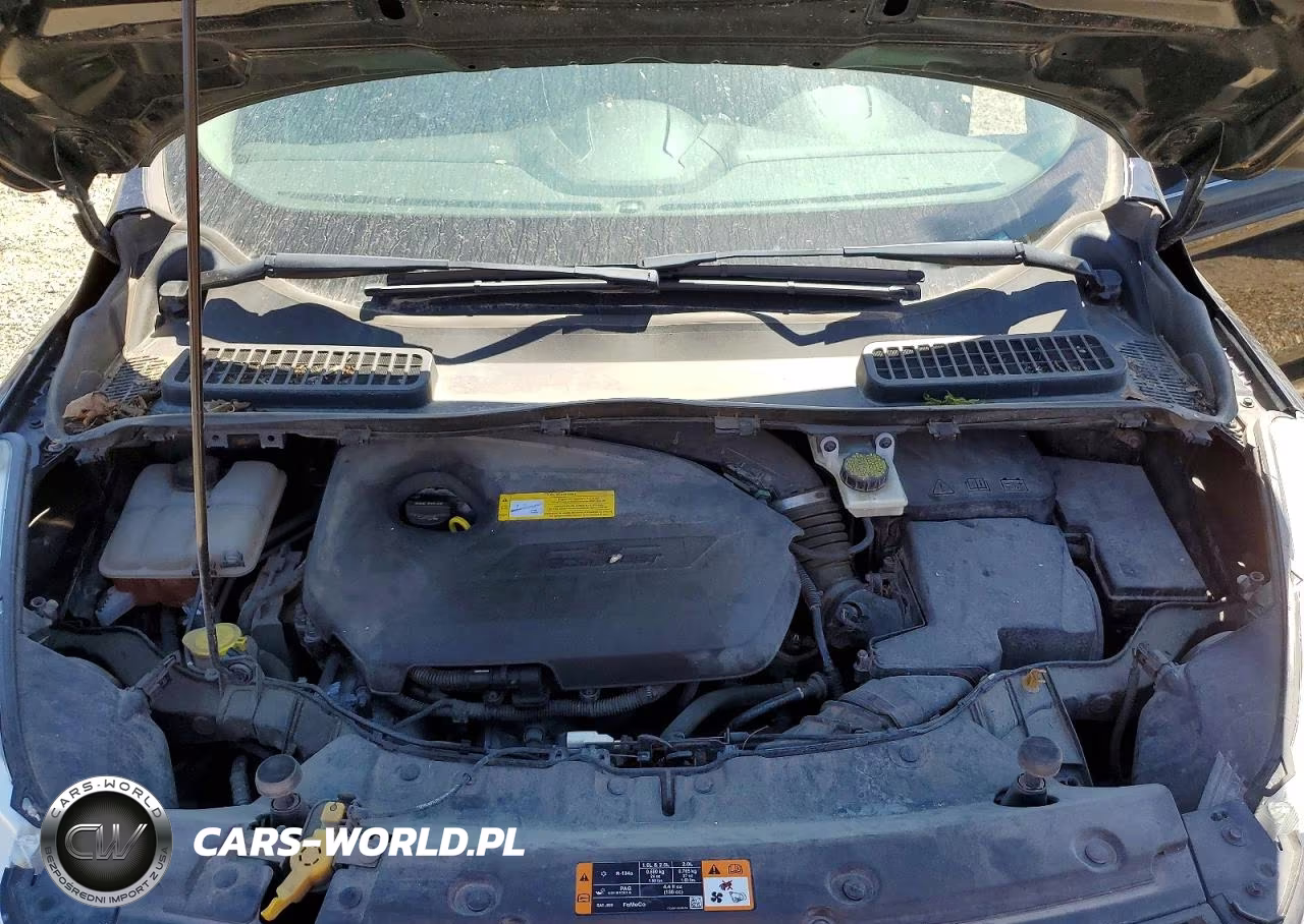 2016 Ford Escape Se VIN:1FMCU0GX3GUB31622 - 12