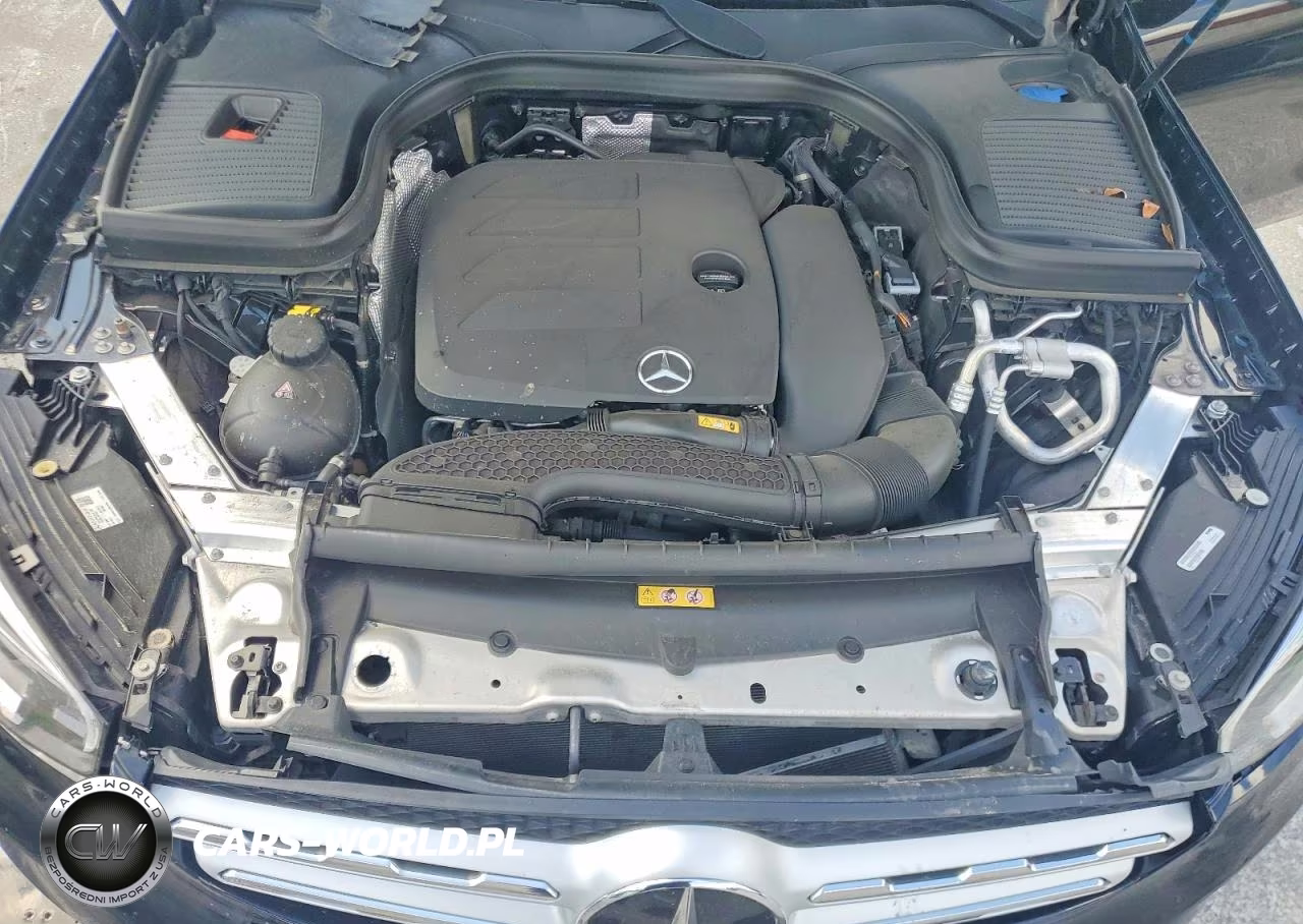2020 Mercedes-Benz Glc 300 4Matic VIN:W1N0G8EB1LF810686 - 12