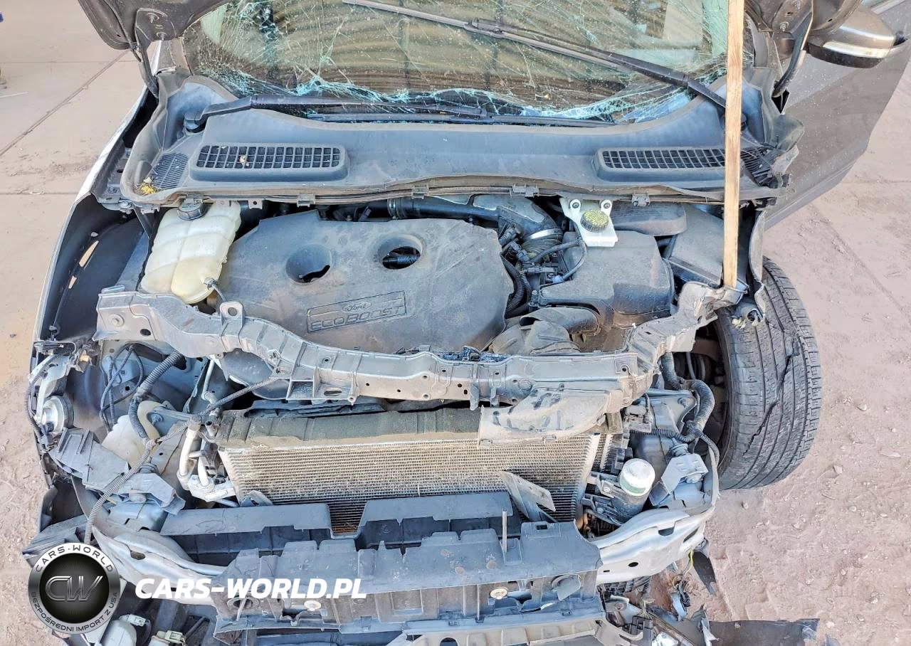 2013 Ford Escape Sel VIN:1FMCU9H90DUA21353 - 12