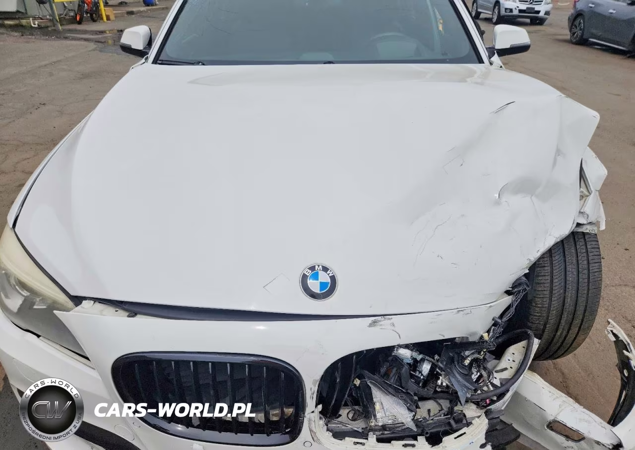 2014 BMW 750 Lxi VIN:WBAYF8C56ED141806 - 11