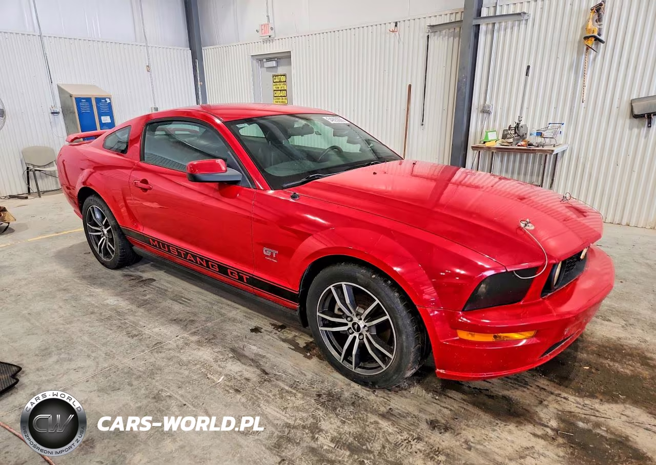 2007 Ford Mustang Gt VIN:1ZVHT82H075334079 - 4