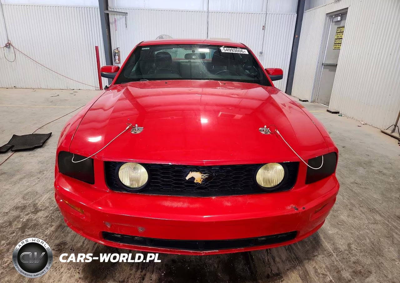 2007 Ford Mustang Gt VIN:1ZVHT82H075334079 - 5