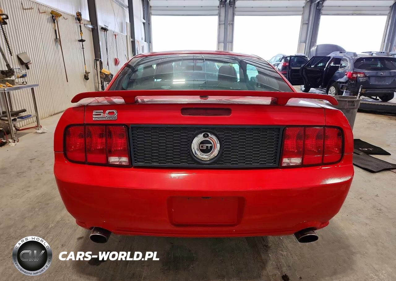 2007 Ford Mustang Gt VIN:1ZVHT82H075334079 - 6
