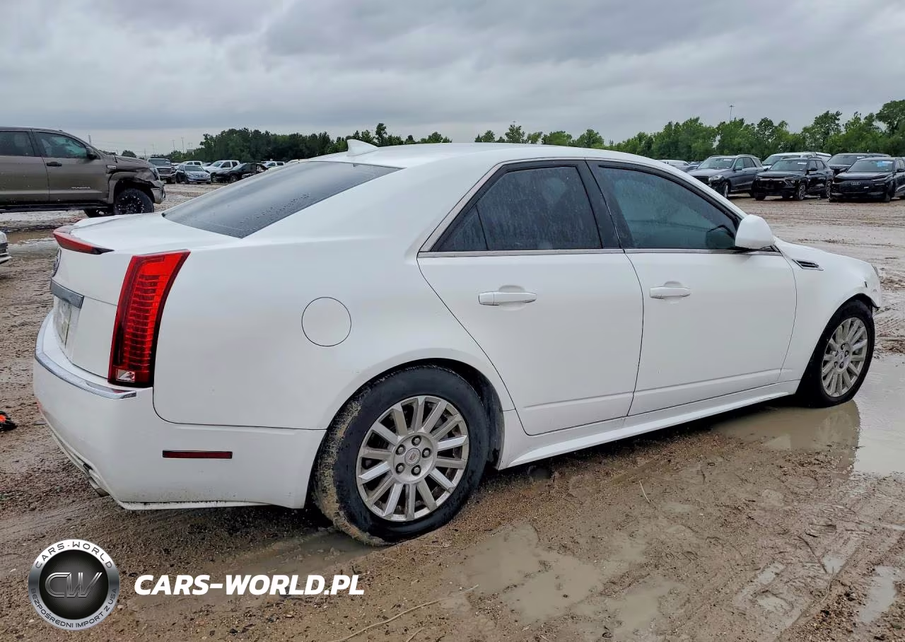 2010 Cadillac Cts Luxury Collection VIN:1G6DE5EG0A0149731 - 3