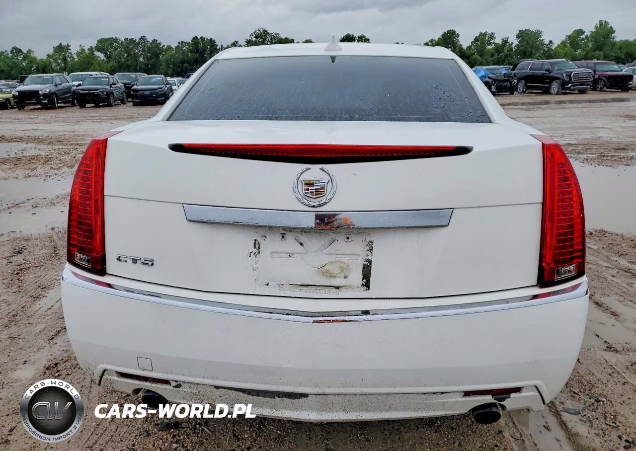 2010 Cadillac Cts Luxury Collection VIN:1G6DE5EG0A0149731 - 6