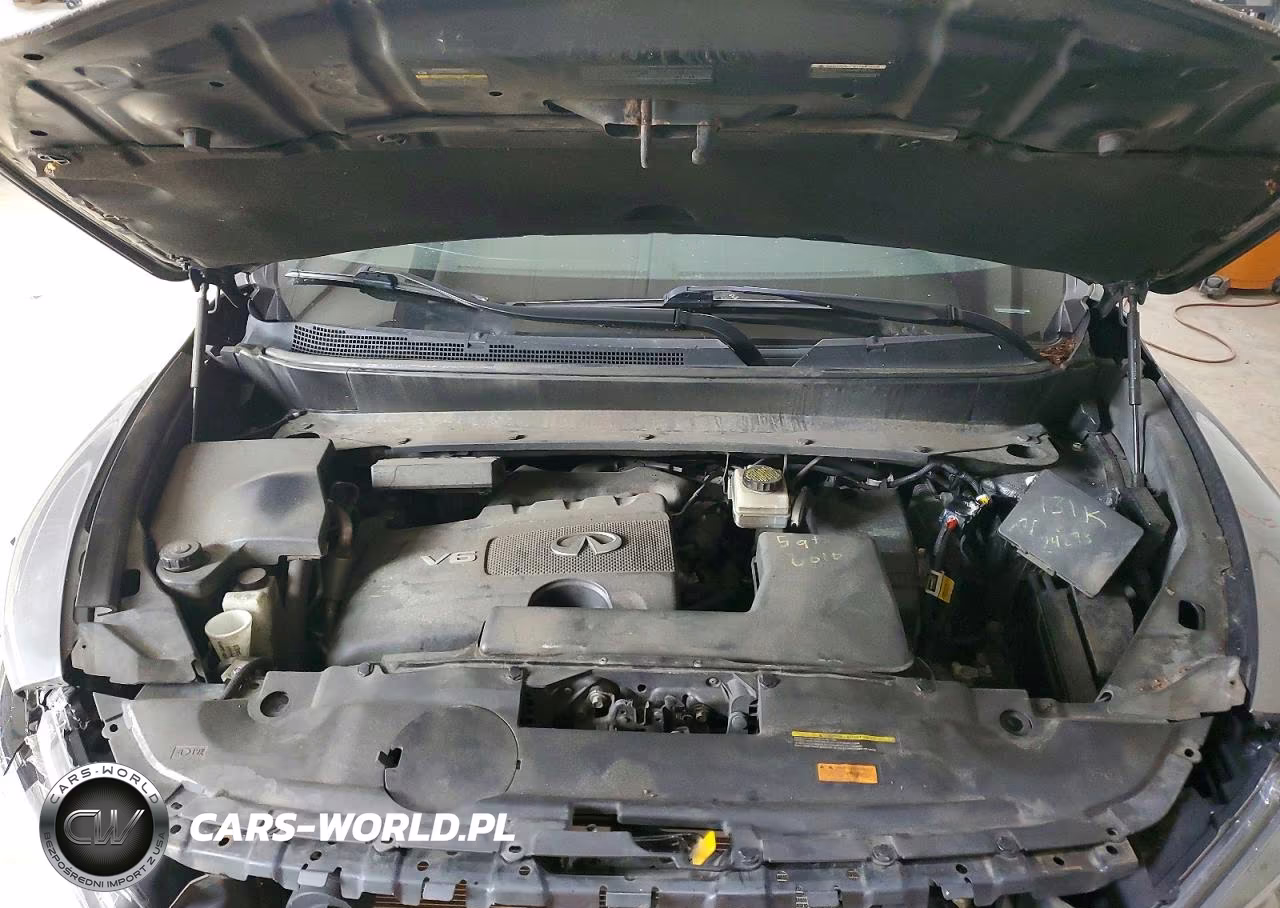 2019 Infiniti Qx60 Pure VIN:5N1DL0MM4KC566598 - 12