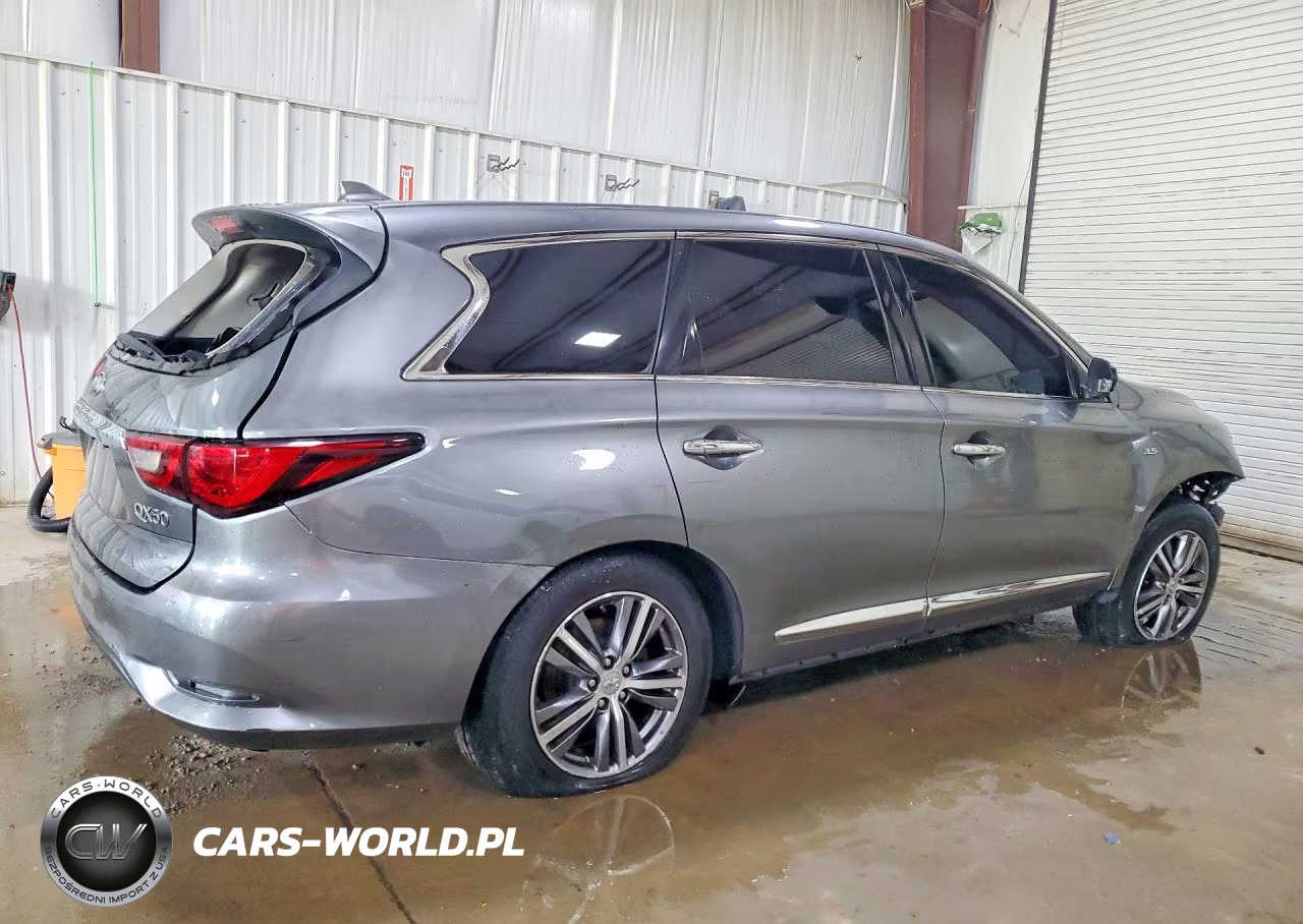 2019 Infiniti Qx60 Pure VIN:5N1DL0MM4KC566598 - 3