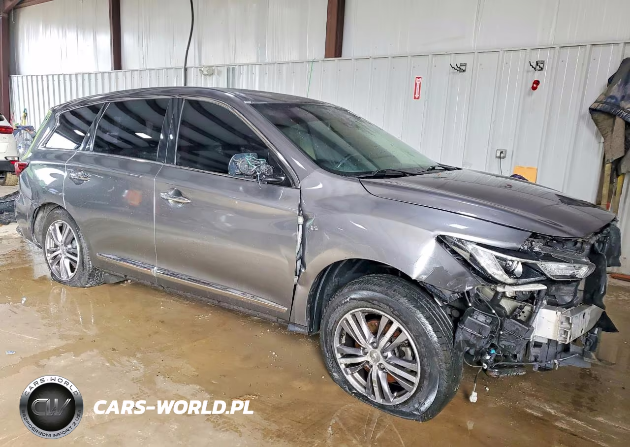 2019 Infiniti Qx60 Pure VIN:5N1DL0MM4KC566598 - 4