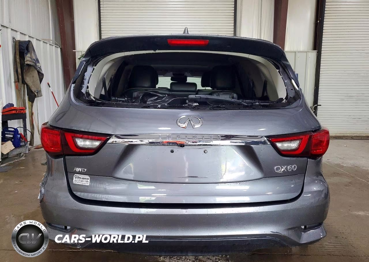 2019 Infiniti Qx60 Pure VIN:5N1DL0MM4KC566598 - 6