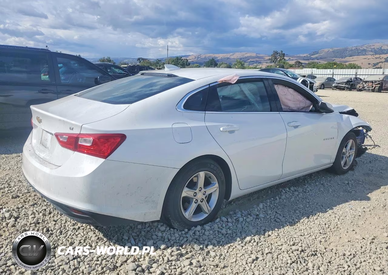 2023 Chevrolet Malibu Lt VIN:1G1ZD5ST6PF247975 - 3