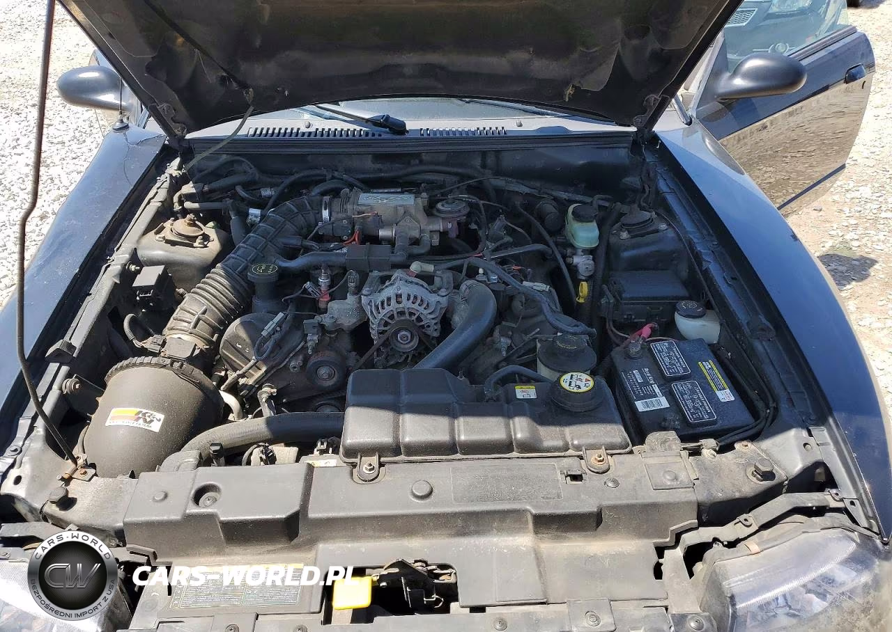2002 Ford Mustang Gt VIN:1FAFP42X62F160283 - 11