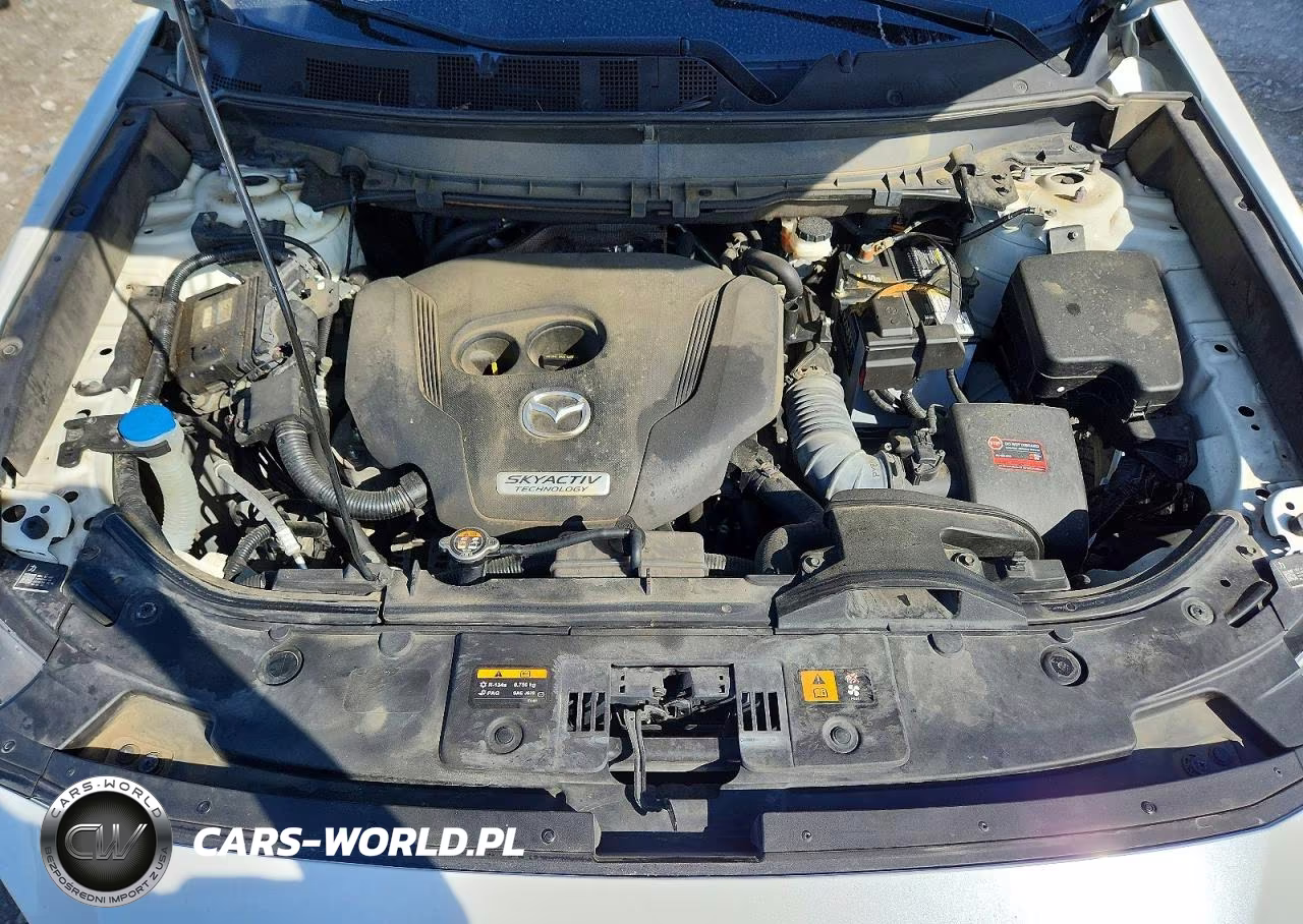 2019 Mazda Cx-9 Touring VIN:JM3TCBCY8K0301224 - 12