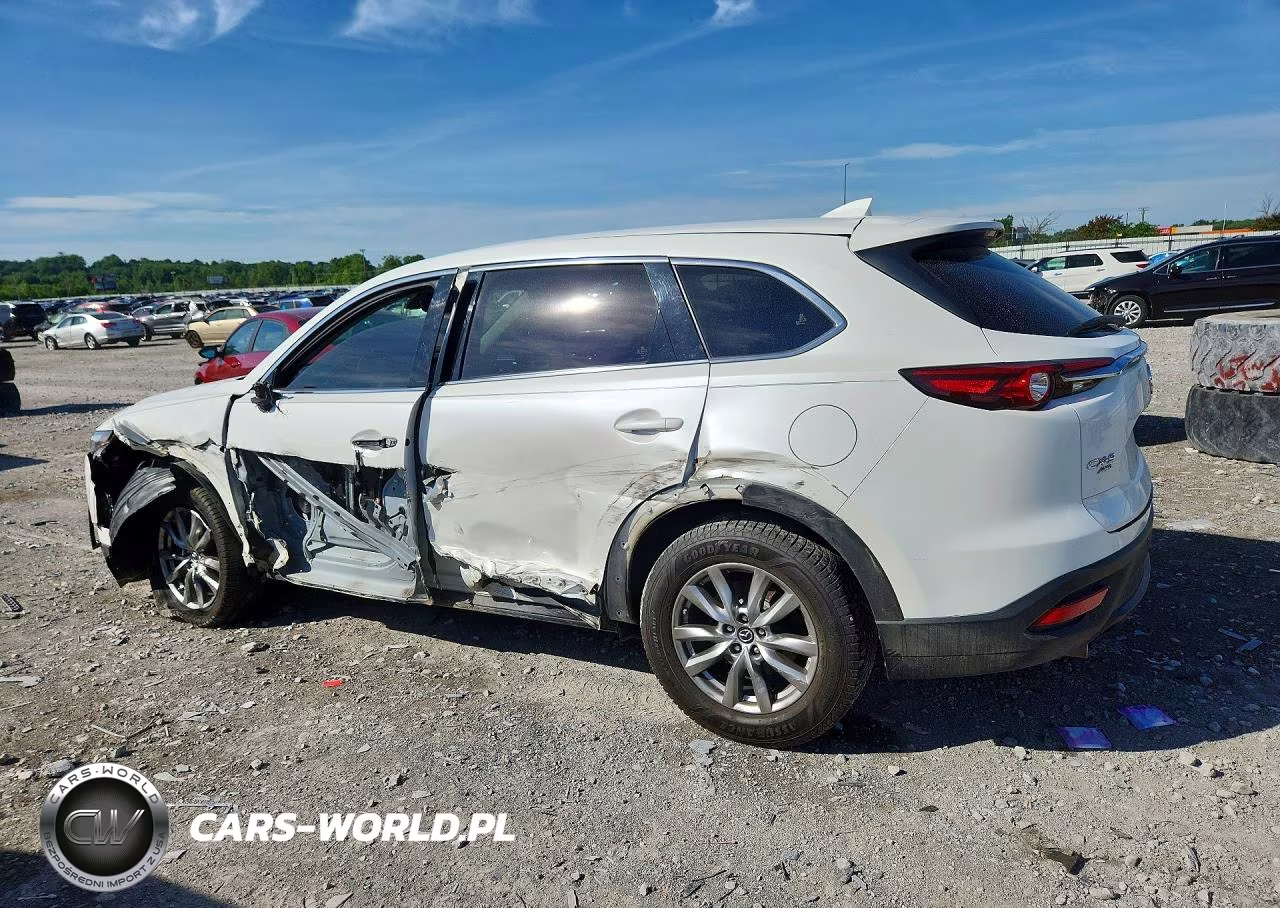 2019 Mazda Cx-9 Touring VIN:JM3TCBCY8K0301224 - 2