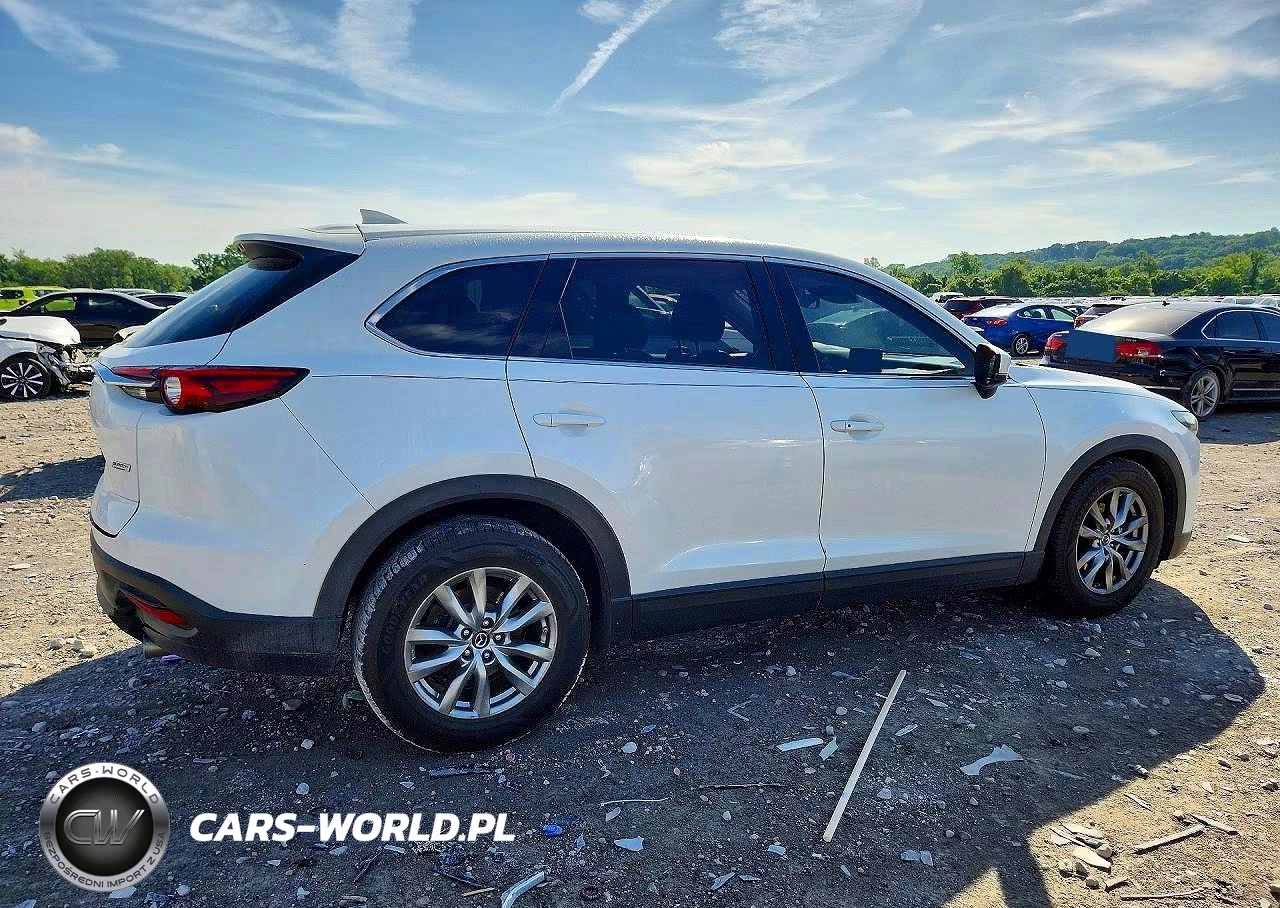 2019 Mazda Cx-9 Touring VIN:JM3TCBCY8K0301224 - 3