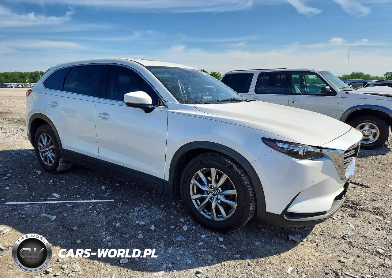 2019 Mazda Cx-9 Touring VIN:JM3TCBCY8K0301224 - 4