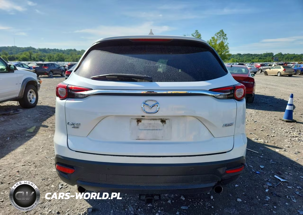 2019 Mazda Cx-9 Touring VIN:JM3TCBCY8K0301224 - 6