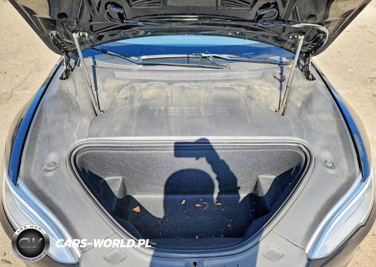 2020 Tesla Model S VIN:5YJSA1E20LF409367 - 11