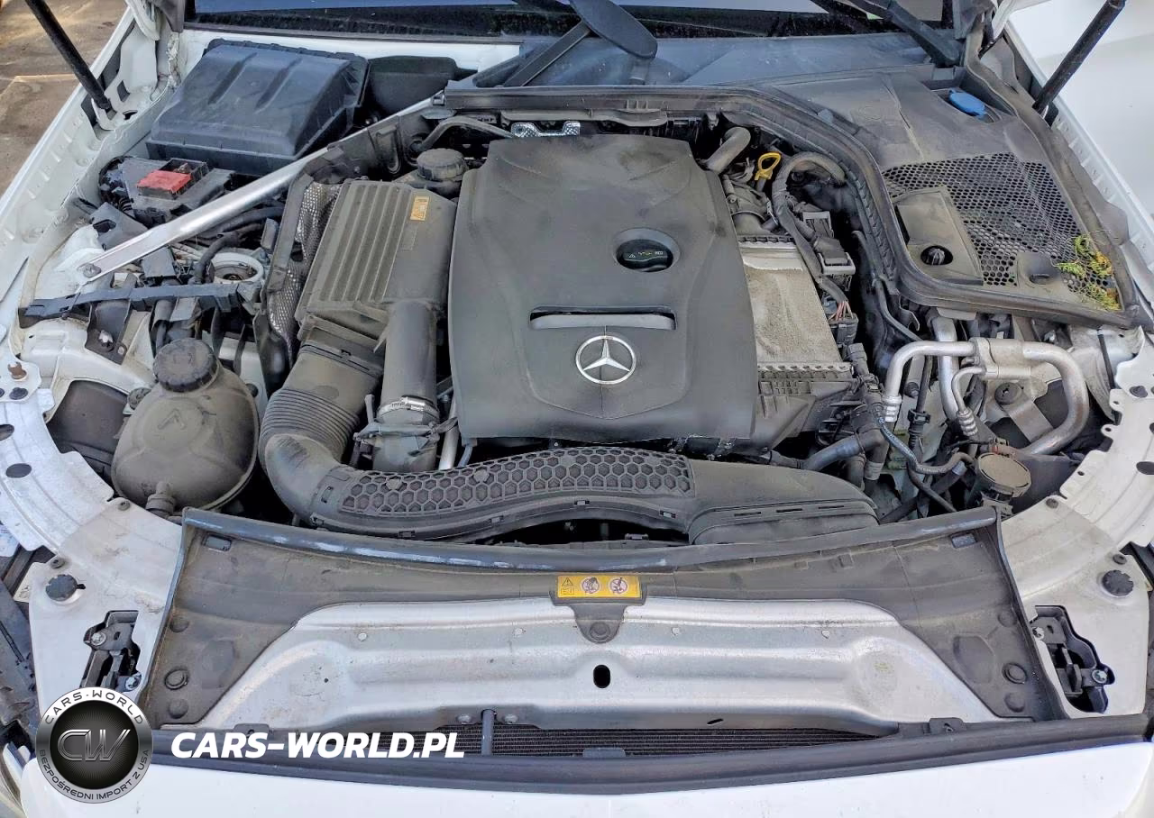 2016 Mercedes-Benz C 300 VIN:55SWF4JB4GU161719 - 11