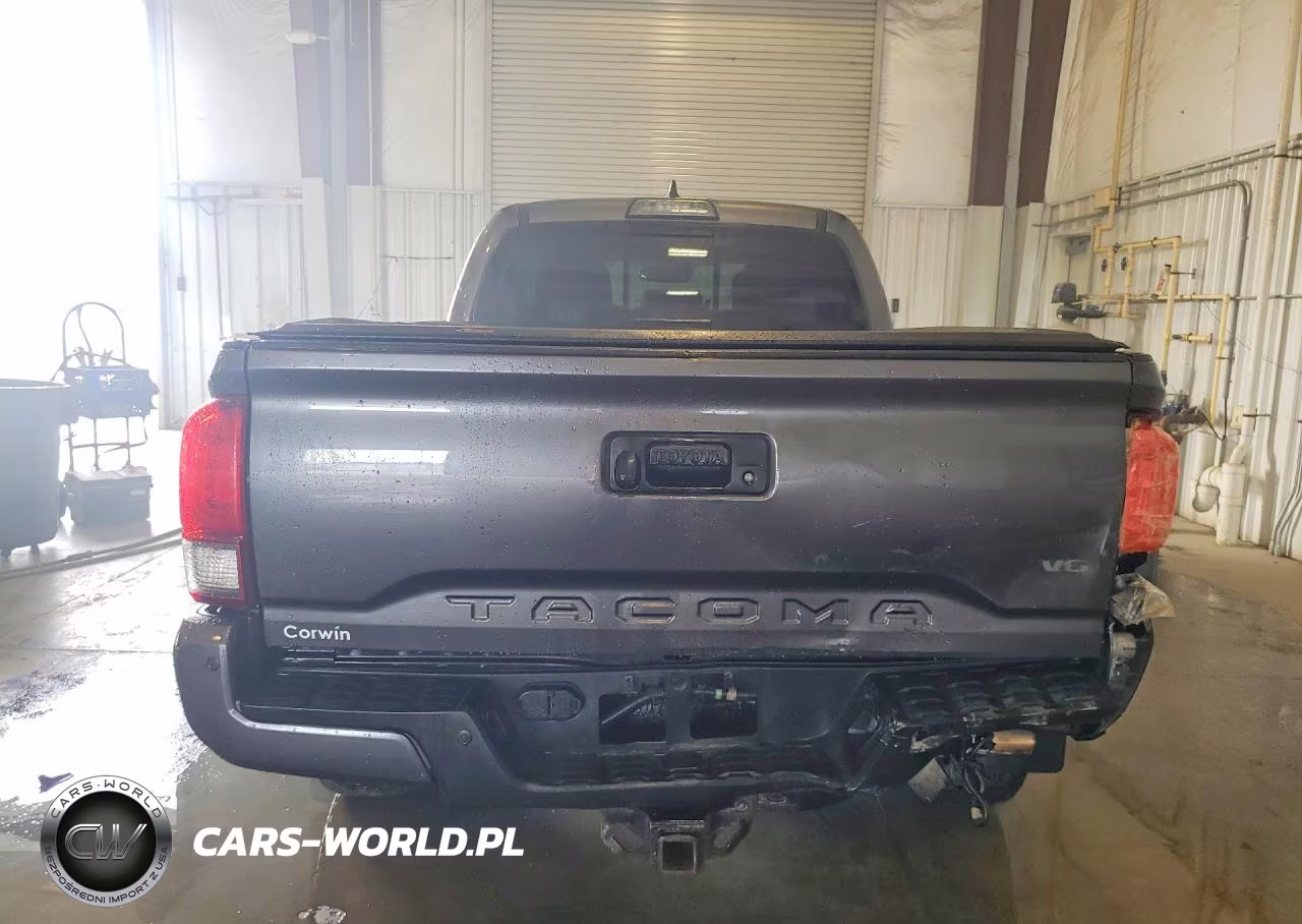2019 Toyota Tacoma Trd Off-Road VIN:3TMDZ5BNXKM065337 - 6