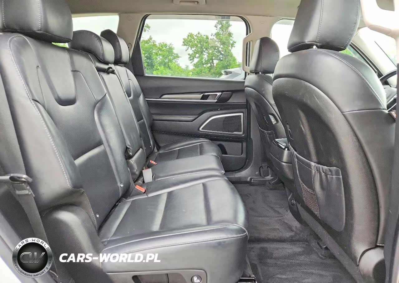 2020 Kia Telluride Lx VIN:5XYP24HC9LG059237 - 10